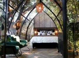 De Nest - Clear Glass Tree Cabin