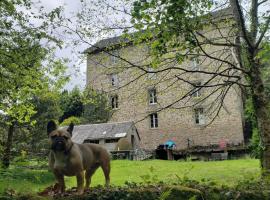 3 Apts Moulin SAGE, hotel di Treignac