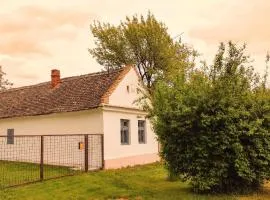 Vikendica Miki u Banatu, okolina Beograda