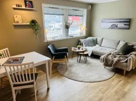 Cozy central apartment