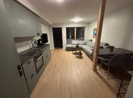2-roms med parkering i Bodø