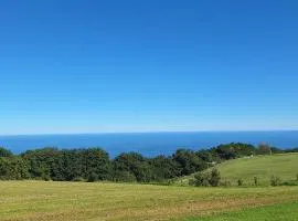 Dolphin View Cottages