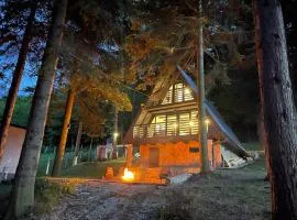 Cozy Love Nest