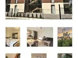 Seaside Apartments Shekvetili