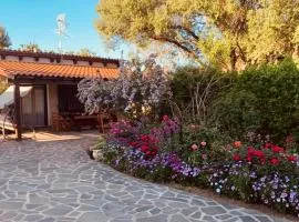 Il Giardino di Bruna Alghero