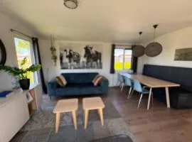Olmenduin | Chalet 26 | Zeeland