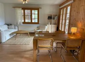 Grand appartement calme avec vue, balcon et parking couvert