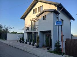 Cazare Paiu VasiVasi, מלון בוסלוי