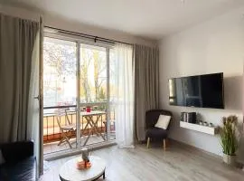 Lumina homely apartament in lodz