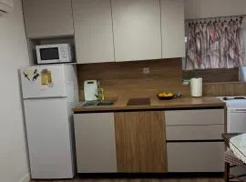 Apartment Mila