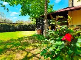 Elsa, Giardino e Relax