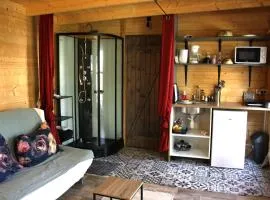 Chalet 3 en bois avec accès piscine