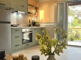 Green Studio House