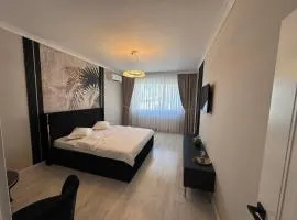 B&B Ozone