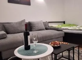 Studio Apartman Radule