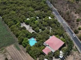Vanveli The Forest Resort