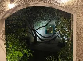 Belle villa classée 4 étoiles proche plage avec jardin