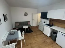 Apartmán Loket
