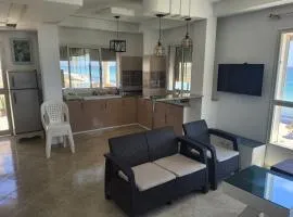 Casa amine