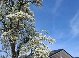 Hof Hagen - "Am Birnenbaum" Neubau