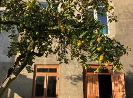 Cozy place in mountains of Ajaria