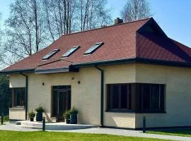 ANDO Villa with wood stove sauna
