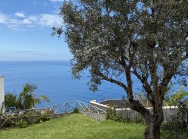 Cozy Sea View House Fajã da Ovelha, Hotel in Calheta