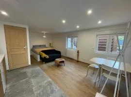 Cozy Studio in a central and quiet area near Basel