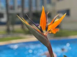 Apartamento Port Dénia