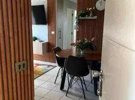 Dep a cercano a panamericana 5 sur , céntrico , cómodo , wifi , parking privado