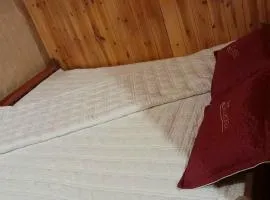 Home stay tự do