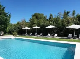 charming house with private pool in lagnes, near isle sur la sorgue, in the luberon, in Provence, for 8 people