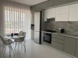 Gray Нова стильна квартира