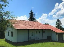 Ferienhaus Dachspfad im Feriendorf Reichenbach 5