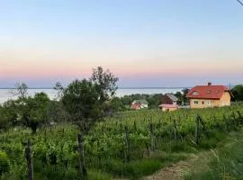 Villa Bellevue