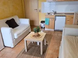 Studiowohnung zentral in Geisenheim 1-2 Personen