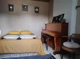 Le paradis des chats bercéen chez Stéphanie près circuit du Mans, animaux acceptés