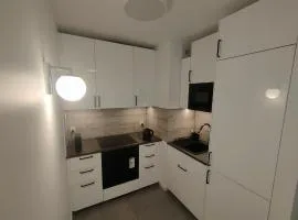 Rooms with free underground parking - Mogilska TAURON ARENA