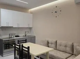 Kejdi Golem Central Apartment