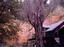 Chapelco cabaña