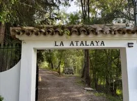 La Atalaya Forest
