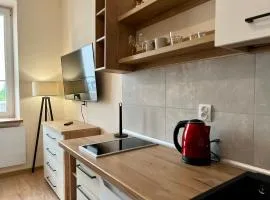 Apartament Górna 20