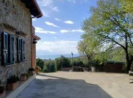 I Corbezzoli