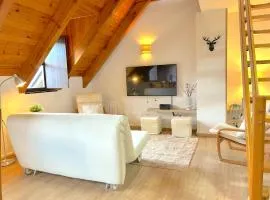 Dúplex acollidor i rústic a Espot by RURAL D'ÀNEU