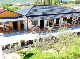Olive Oasis Studio