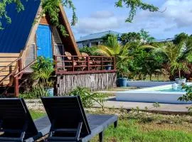 Private Cabin with a Pool- Treasure Beach