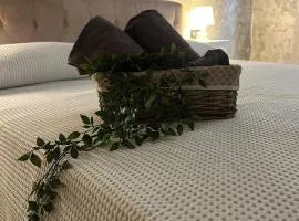 CASA DI MANU e DADO