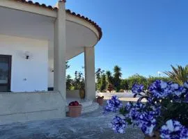 Lilly's house