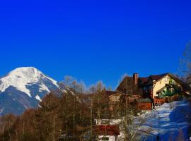 Hotel Andermatt, ski resort in Nagawa