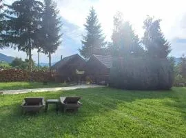 Camere de Inchiriat Ceahlau